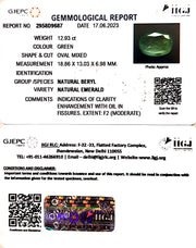 12.93/CT Natural Panna Stone with Govt. Lab Certificate (12210)